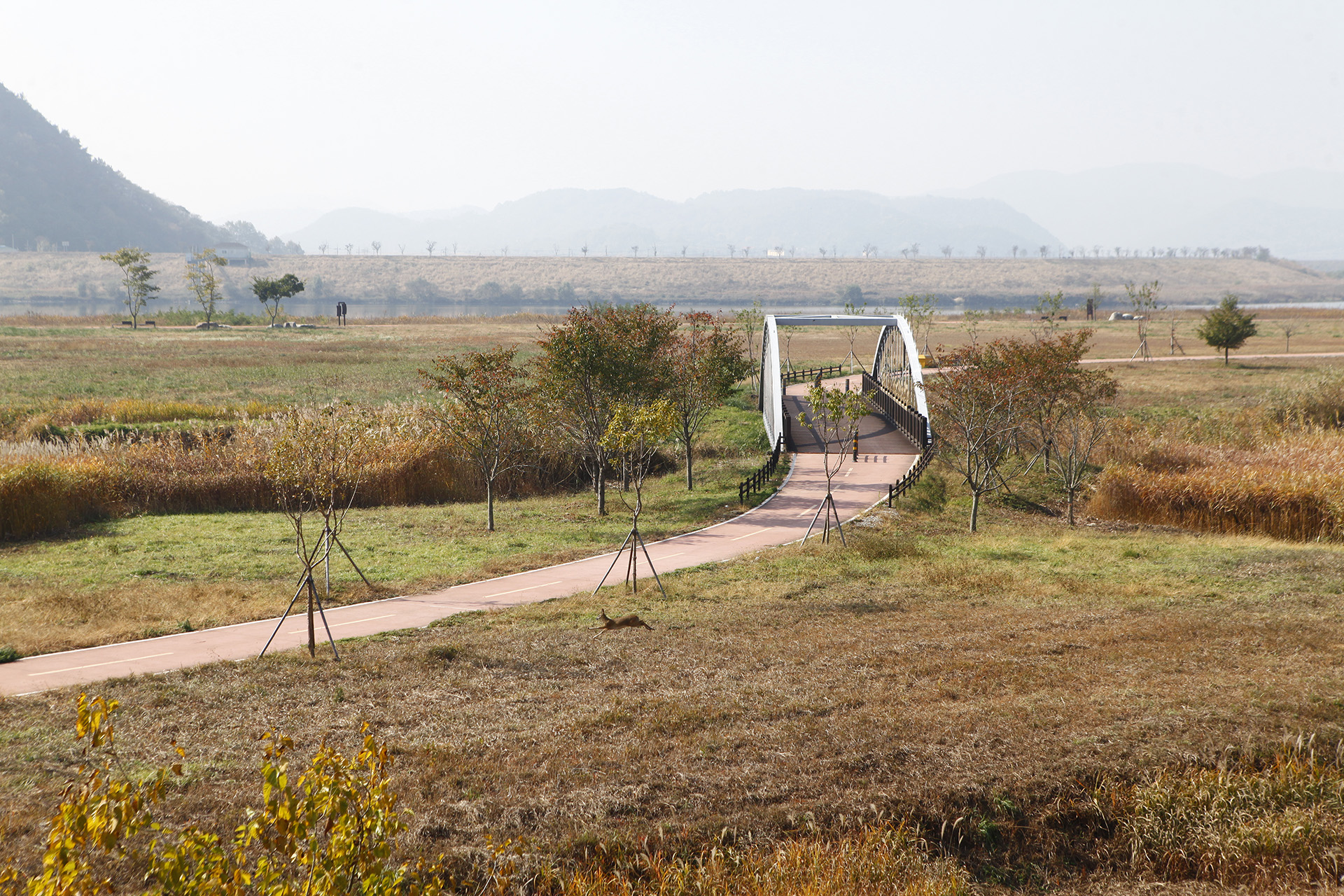 남지수변공원 억새전망대